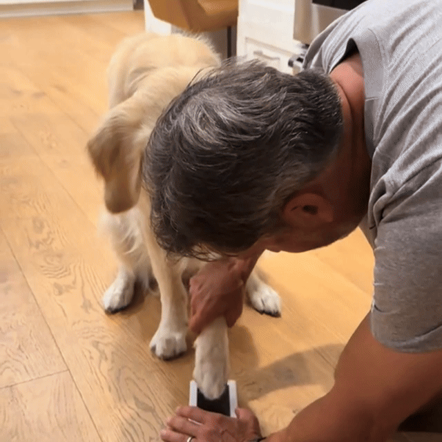 1. Your Dog Will Sit Still. You Just Need 3 Seconds.