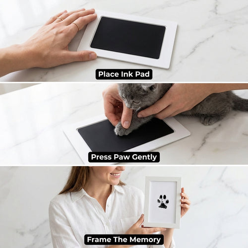 The Purrfect Print Kit