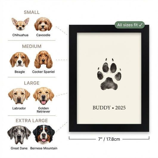 The Paw Print Kit