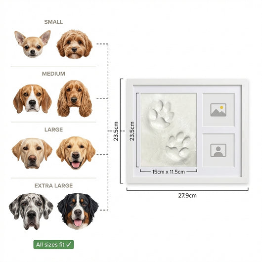 The Clay Paw Print Kit