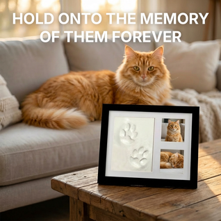 The Clay Toe Bean Print Kit