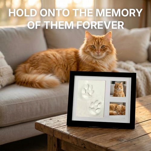 The Clay Toe Bean Print Kit