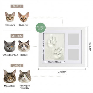 The Clay Toe Bean Print Kit