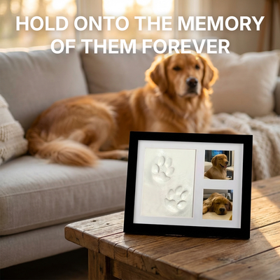 The Clay Paw Print Kit